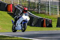 Oulton-Park-20th-March-2020;PJ-Motorsport-Photography-2020;anglesey;brands-hatch;cadwell-park;croft;donington-park;enduro-digital-images;event-digital-images;eventdigitalimages;mallory;no-limits;oulton-park;peter-wileman-photography;racing-digital-images;silverstone;snetterton;trackday-digital-images;trackday-photos;vmcc-banbury-run;welsh-2-day-enduro